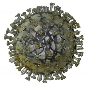 Realistic model of flu virus