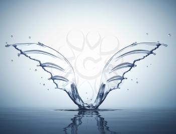 Splash in form of wings