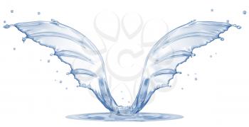 Splash in form of wings isolated on white