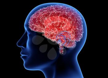 Man head with brain. 3D illustration