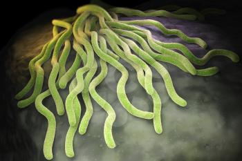 Colony of Borrelia burgdorferi bacteria, the bacterial agent of Lyme disease transmitted by ticks. 3D illustration