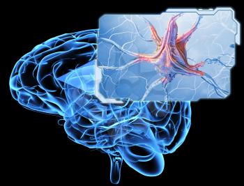 Neurons and nervous system. 3D illustration