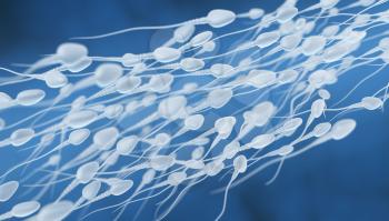 3D illustration of sperm going for the egg