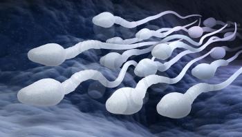 Male sperm cells. 3D illustration
