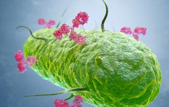 Antibodies attacking a bacterium. 3D illustration