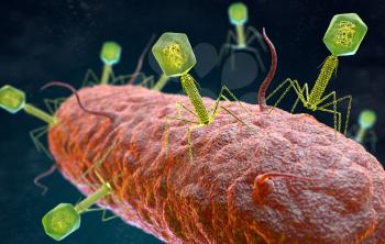 illustration of the Bacteriophage Virus that infects and replicates within a bacterium. 3D illustration
