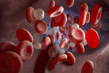 Red and white blood cells and in the vein. 3D illustration
