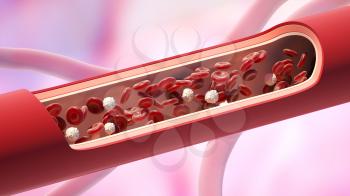 Red and white blood cells in the vein. Leukocyte normal level. 3D illustration