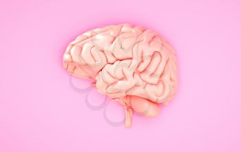Pink brain on the color background. 3D illustration