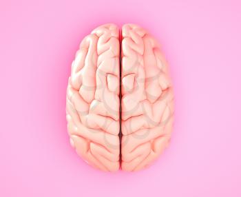 Pink brain on the color background. 3D illustration