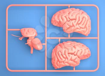 Model kit set with pink brain parts. 3D illustration