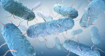 Enterobacteria. Enterobacteriaceae are a large family of Gram-negative bacteria. 3D illustration