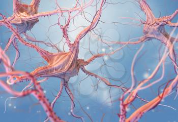 Neurons and nervous system. 3d render of nerve cells. 3D illustration