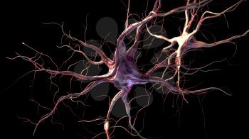 3d rendered illustration of nerve cells