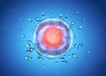 Illustration of sperm and egg cell. 3D illustration