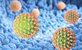 Rotavirus bacteria on the microvilli surface of digestive system. 3D illustration