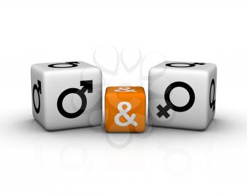 male and female symbol   (3D crossword orange series)
