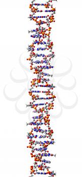 Genome Clipart