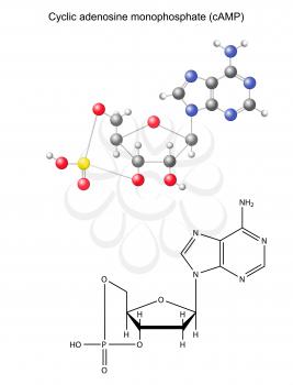 Biochemical Clipart