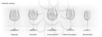 Types of red wine glasses. Set of standard empty glasses with soft shadow standing in a row over white background, 3d rendering illustration