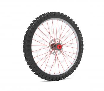 Wheel for modern bicycle isolated on white