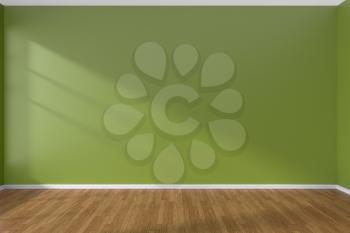 Empty room with green flat smooth walls and wooden parquet floor under sunlight through window, 3D illustration