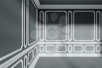Black empty room corner closeup with sunlight from window, with white decorative classic style molding frames on walls, with flat ceiling, floor and baseboard, 3d interior illustration