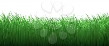 Green grass border seamless isolated on white background, nature 3D illustration