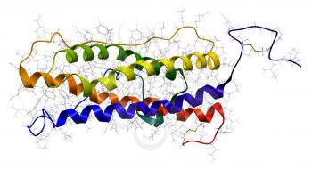 Hyman prolactin hormone. Molecular structure