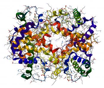 Hemoglobin molecule isolated on a white background