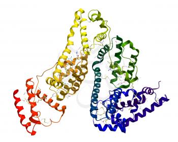 Serum albumin molecular structure on a white background