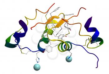 Molecular structure of human insulin obtained by an X-Ray diffraction experiment