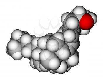 Model of Vitamin D3 molecule