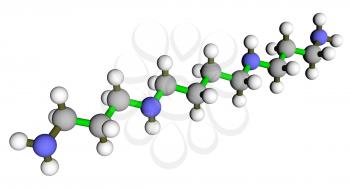 Spermine 3D molecular structure. A compound first found in human sperm by Anton van Leeuwenhoek