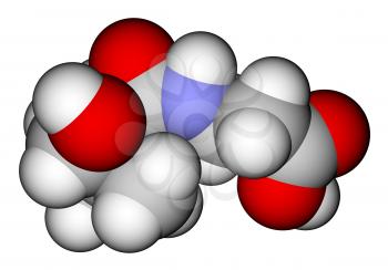 Pantothenic acid (vitamin B5) 3D molecular model