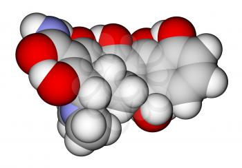 Antibiotic tetracycline space filling molecular model