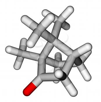 Camphor 3D molecular model