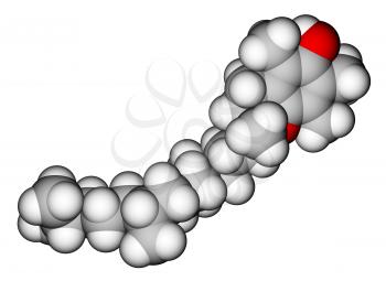 Alpha-tocopherol (vitamin E) space-filling molecular model