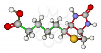 Biotin (vitamin H or B7) molecular structure