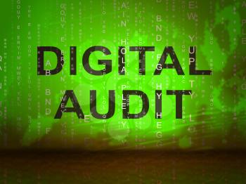 Digital Audit Cyber Network Examination 2d Illustration Shows Analysis By Auditor Of Digital Information Or Virtual Resources