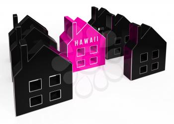 Hawaii Property Icon Shows Real Estate From American Island Paradise. Hawaiian Beach Developments From Broker Or Realtor - 3d Illustration