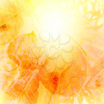 Abstract image of the sun. Autumn background.