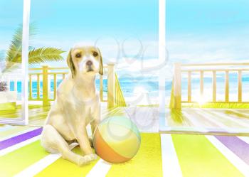 The puppy with the ball on the carpet on the background of the sea.  