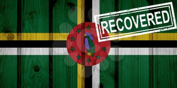 flag of Dominica that survived or recovered from the infections of corona virus epidemic or coronavirus. Grunge flag with stamp Recovered