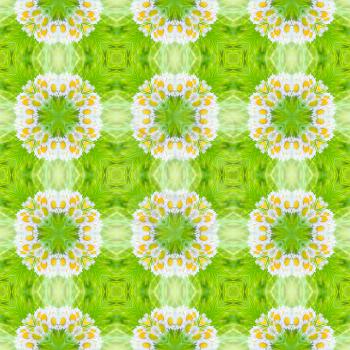 Abstract circle floral seamless background from daisy flower.