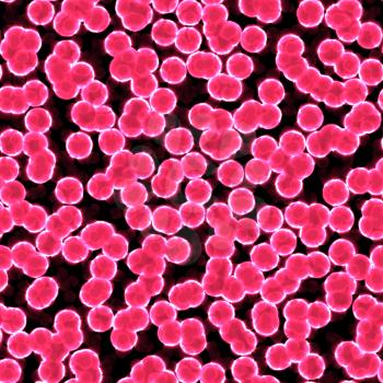 Illustration of the red cells with white edge on a black background.