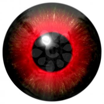 Illustration of a red eye with light reflection on a white background.