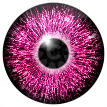 Illustration of a purple eye with light reflection on a white background.