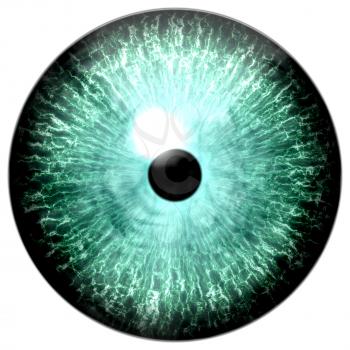 Illustration of a green eye with light reflection on a white background.