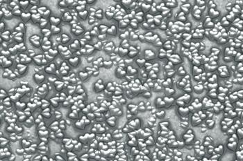 Valentine's Day abstract 3D background pattern with small metallic gray or silver hearts in microscopic like illustration.